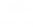 logo of Kyrgyzlife